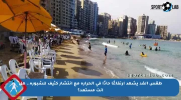 طقس الغد يشهد ارتفاعًا حادًا في الحرارة مع انتشار كثيف للشبورة.. هل أنت مستعد؟